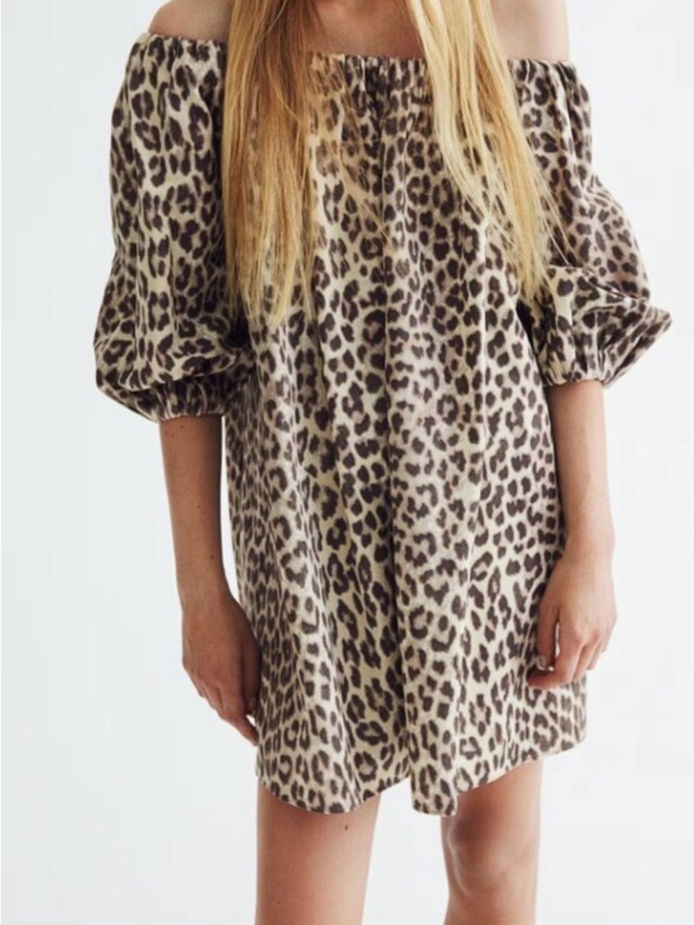 H&M Leopard Print Off-Shoulder Dress in Beige and Brown